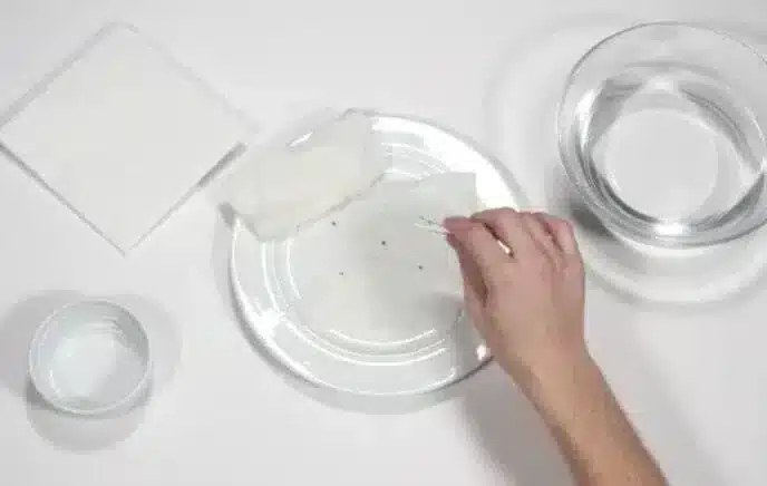 Step 4