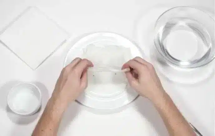 Step 5
