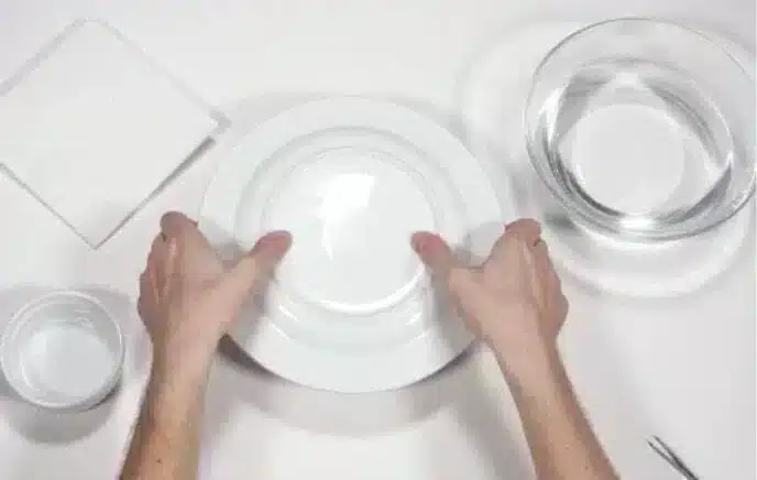 Step 7