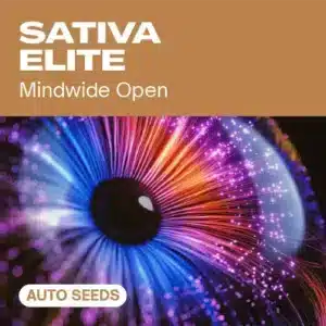 Sativa Elite Auto: Samonakvétací semena konopí Sativa.