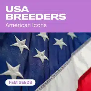 USA Breeders: kolekce feminizovaných semen konopí inspirovaná americkými šlechtiteli.