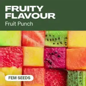 Fruity Flavour: Fruit Punch pro kolekci feminizovaných semen konopí s ovocným profilem.