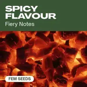 Spicy Flavour: ikona profilu terpenů s pikantní chutí.