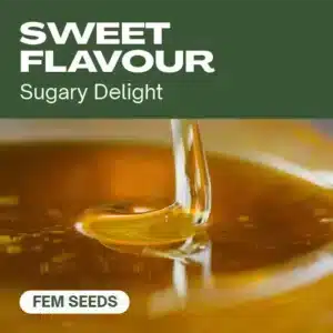 Sweet Flavour: konopný extrakt.