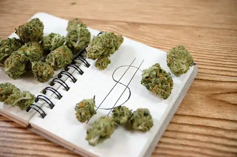 Growers Hub Program