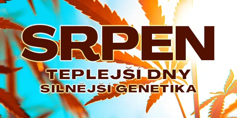 Blimburn Seeds Promo